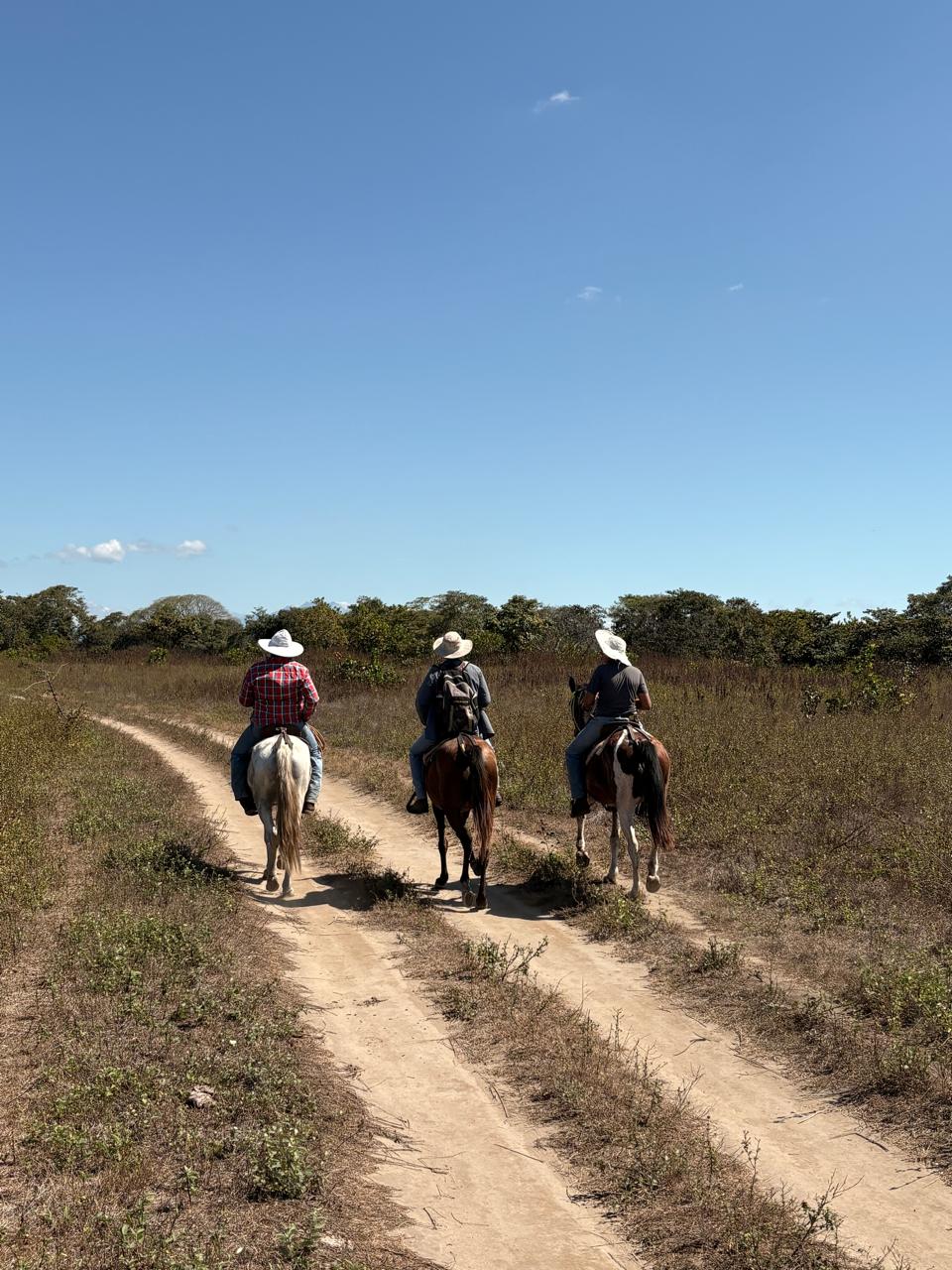 Vaqueros a caballo recorriendo la finca